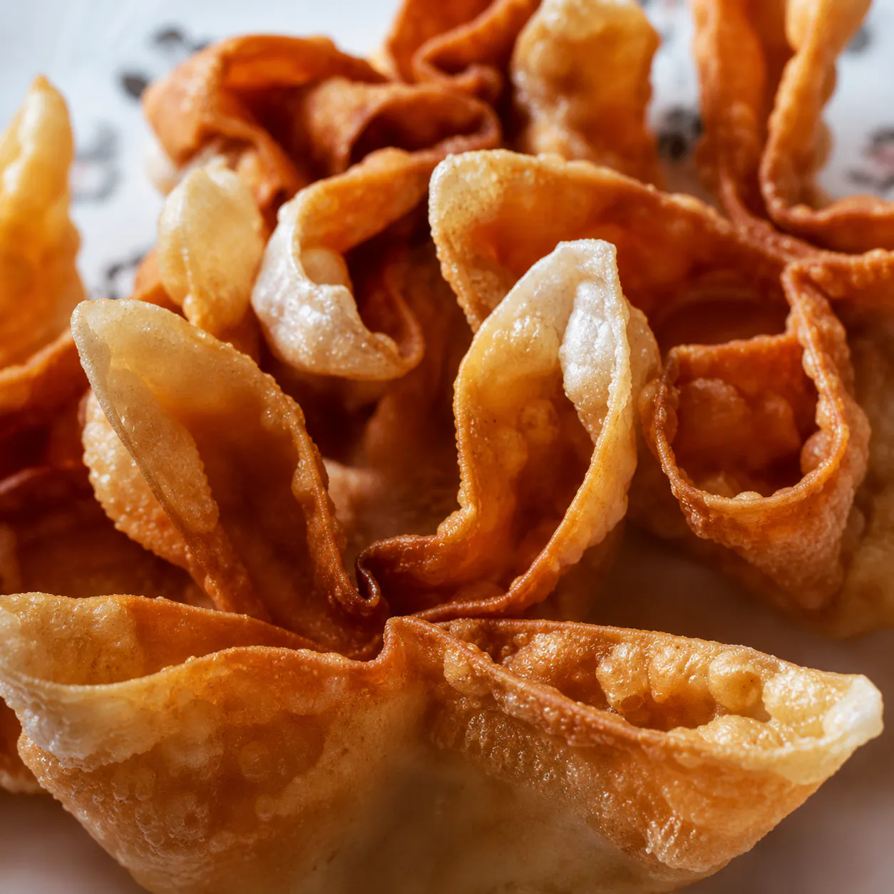 Cheese Wontons at Maki Shabu, Shabu-shabu Restaurant in North Hollywood