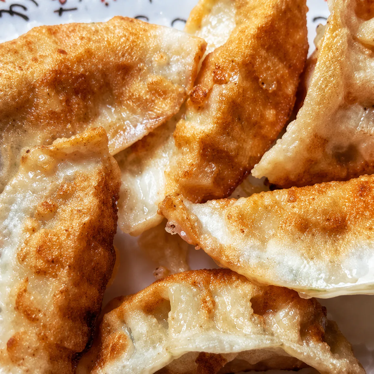 Chicken Potstickers at Maki Shabu, Shabu-shabu Restaurant in North Hollywood